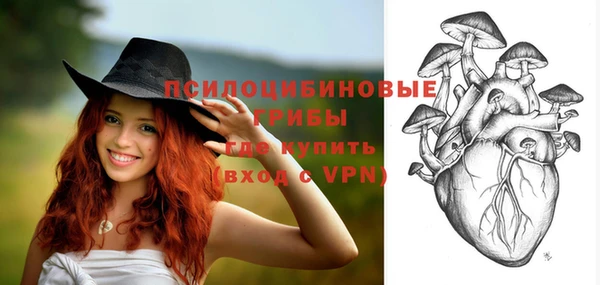 прущие грибы Волоколамск