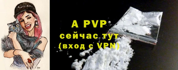 стаф Вязьма