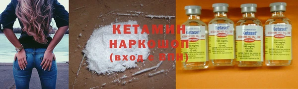 стаф Вязьма