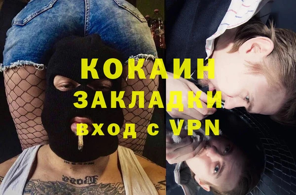 прущие грибы Волоколамск