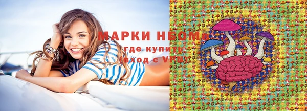 стаф Вязьма