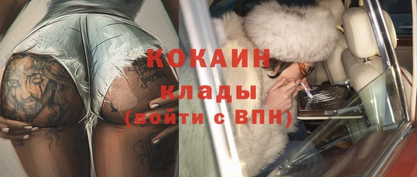 стаф Вязьма